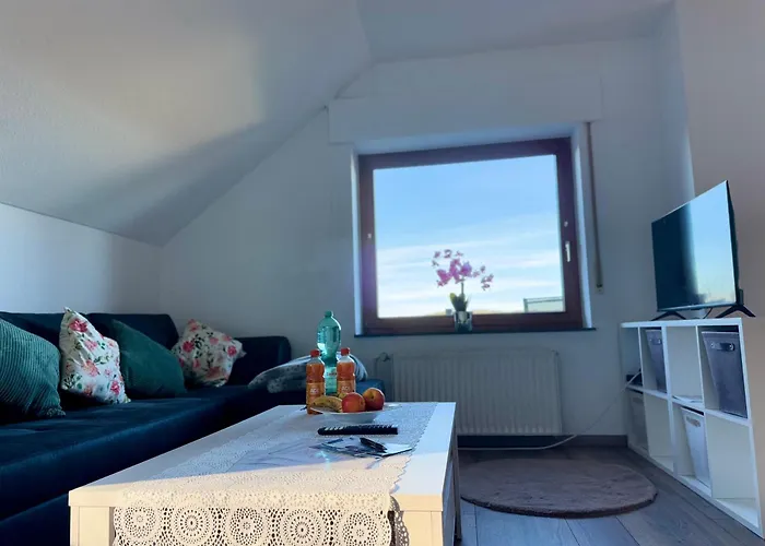 Moehne Ferienwohnung